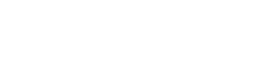 zirvetek seo logo